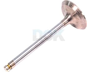 Впускной клапан