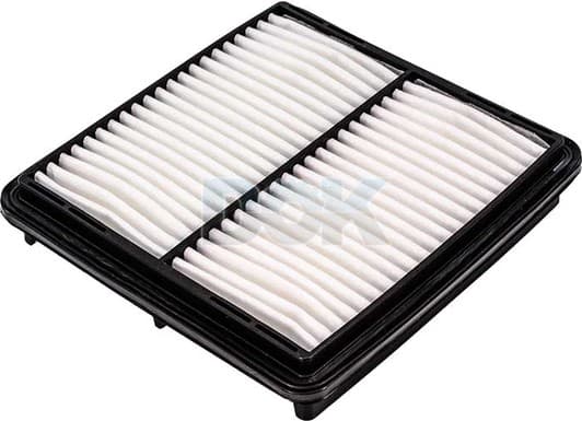 CAF100682P Champion Воздушный фильтр