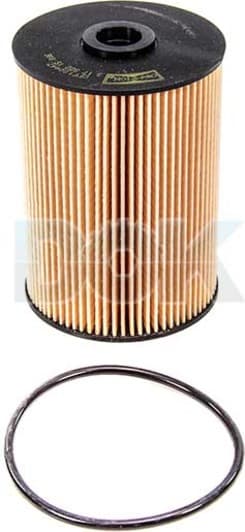 CFF100447 Champion Топливный фильтр