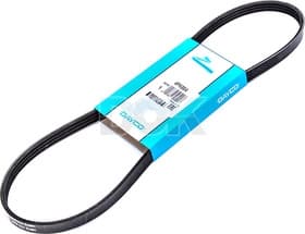 Поліклиновий ремінь