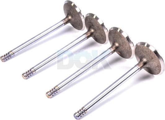 R4442/SCR Freccia Впускной клапан