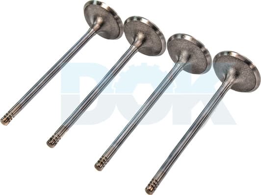 R6051/SCR Freccia Впускной клапан