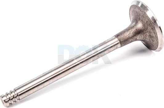 R3662/S Freccia Впускной клапан