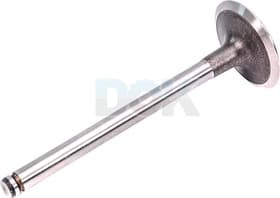 Впускной клапан