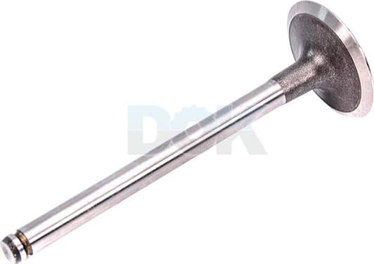 R4221/S Freccia Впускной клапан