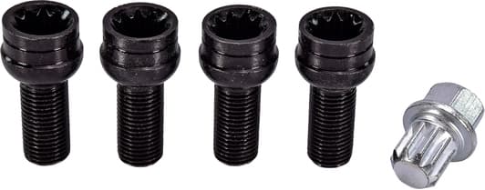 Комплект болтів-секреток із ключем KSP KSP-01619