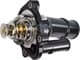 TI 202 90 Mahle Термостат