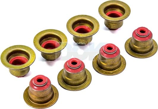 70-38209-00 Reinz Сальник клапана