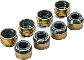 Комплект сальников клапанов Комплект сальников клапанов