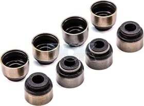 Комплект сальників клапанів Комплект сальників клапанів