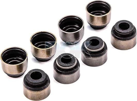 12-53547-01 Reinz Комплект сальників клапанів