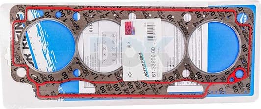 61-33600-00 Reinz Прокладка ГБЦ