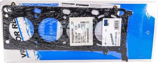 61-31360-00 Reinz Прокладка ГБЦ