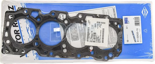 61-52620-10 Reinz Прокладка ГБЦ