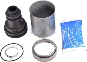 Пильовик гранати