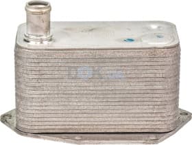 Масляный радиатор двигателя