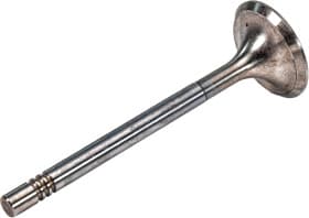 Впускной клапан