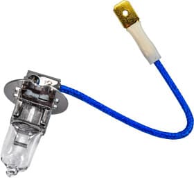 Лампа дальнего света Bosch 1 987 302 031