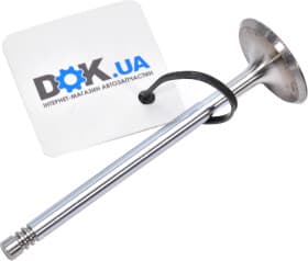 Впускной клапан