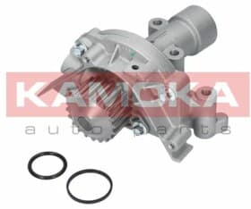 Помпа Помпа