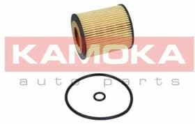 Оливний фільтр