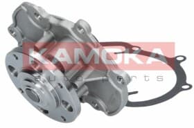 Помпа Помпа