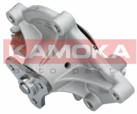 Помпа Помпа