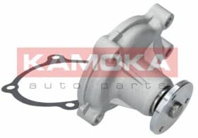 Помпа Помпа