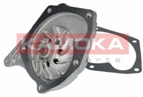 Помпа Помпа