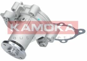 Помпа Помпа