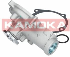 Помпа Помпа