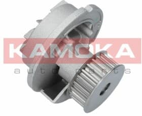 Помпа Помпа