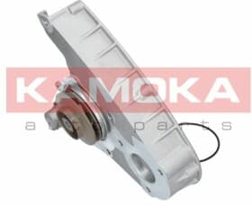 Помпа Помпа