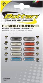 Набор предохранителей Bottari 30110-IS FGL2 FC 10 шт.