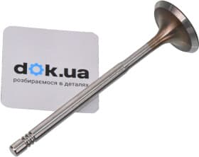 Впускний клапан Borsehung b19019