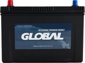 Аккумулятор Wai Global 6 CT-95-L SMF 120D31R