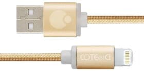 Кабель COTEetCI M30i CS2127-3M-GD USB - Apple Lightning 3 м