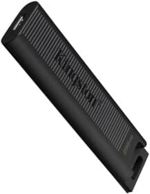 Флешка Kingston DataTraveler Max 256 ГБ