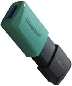 Флешка Kingston DataTraveler Exodia M 256 ГБ