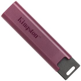 Флешка Kingston DataTraveler Max 1 ТБ DTMAXA/1TB