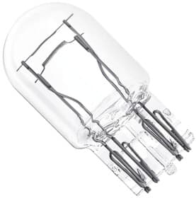 Автолампа Amio T20 W3x16q 5 W 21 W прозрачная 02552