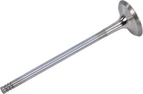 Выпускной клапан