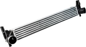 Інтеркулер