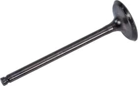 Впускной клапан