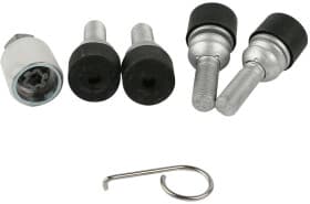 Комплект болтів-секреток із ключем VAG 2h0698137