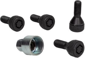 Комплект болтов-секреток с ключом BMW 36132453959