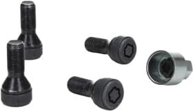 Комплект болтов-секреток с ключом BMW 36132453960