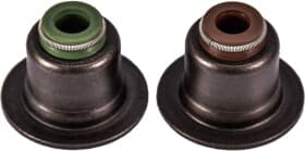 Комплект сальников клапанов Комплект сальников клапанов