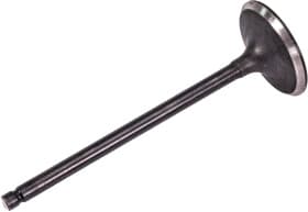 Впускной клапан