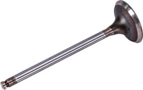 Впускной клапан